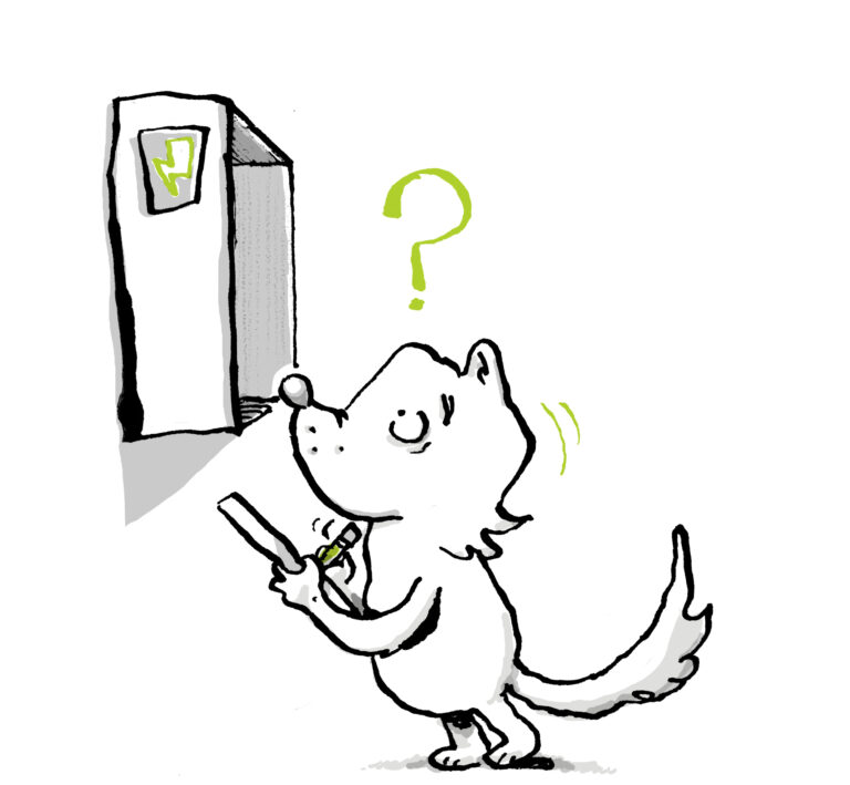 Rebbi-eftirlit og endurmat