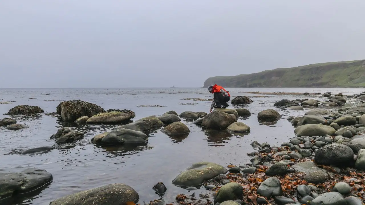 Átthagar og grenndarnám